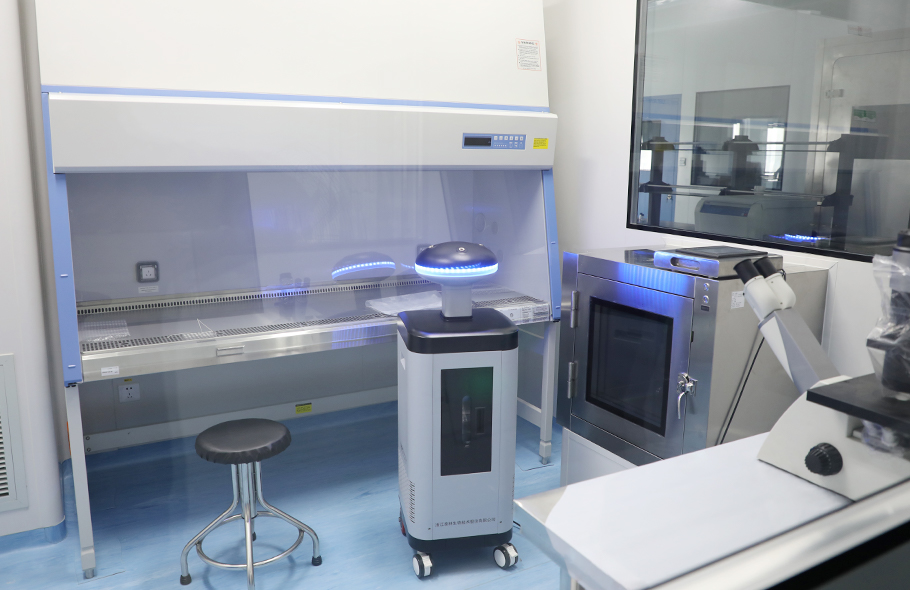 ����/ʵ�����������