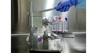 �������ǲ���(�й���)�ٷ���վ