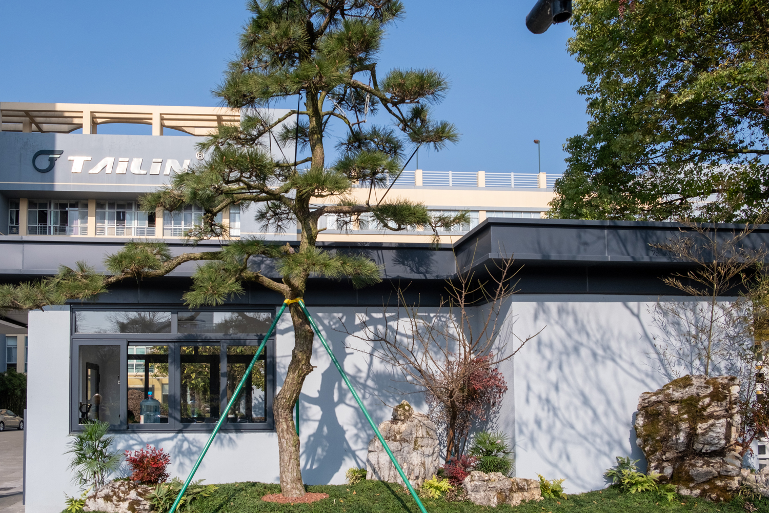 1736660870151619DCXY.jpg Ë꺮ÈýÓÑ.jpg