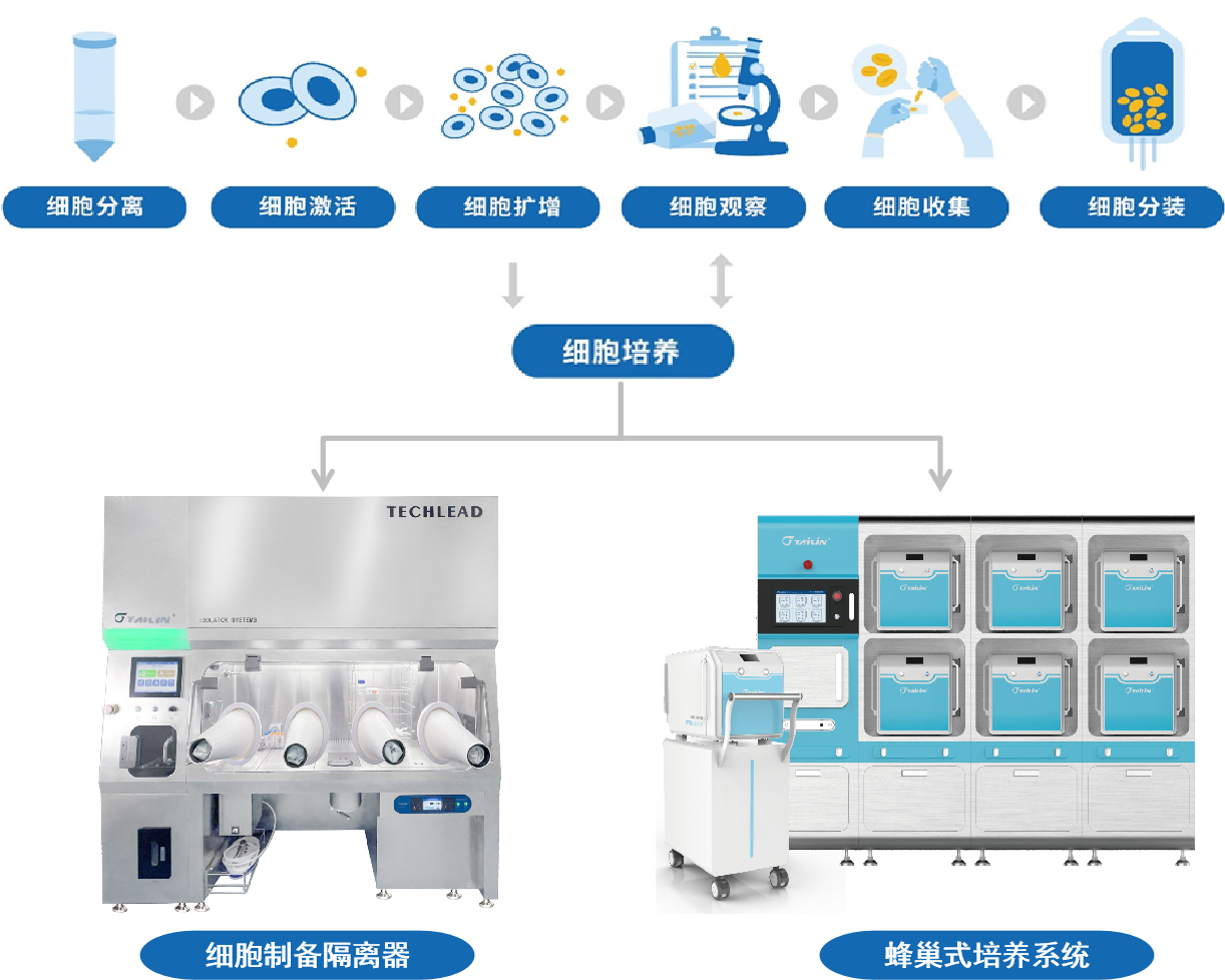 1737444961692075NVH3.png ͼƬ2.png